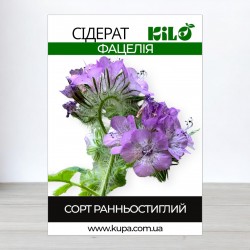 Семена Фацелии, 100г